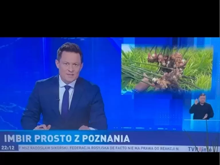 tvp-zdj-1.jpg